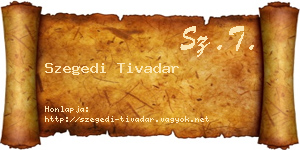 Szegedi Tivadar névjegykártya